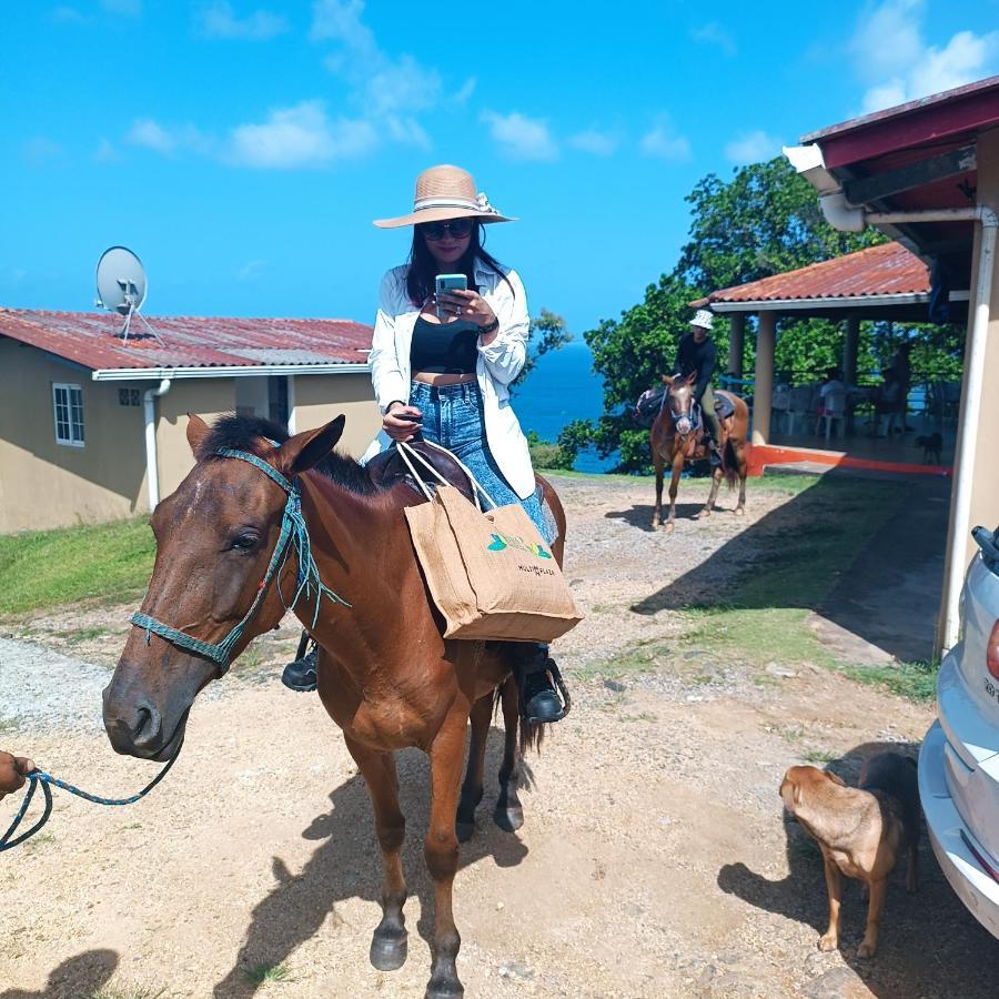 Rancho Juancho Hotel Portobelo Bagian luar foto