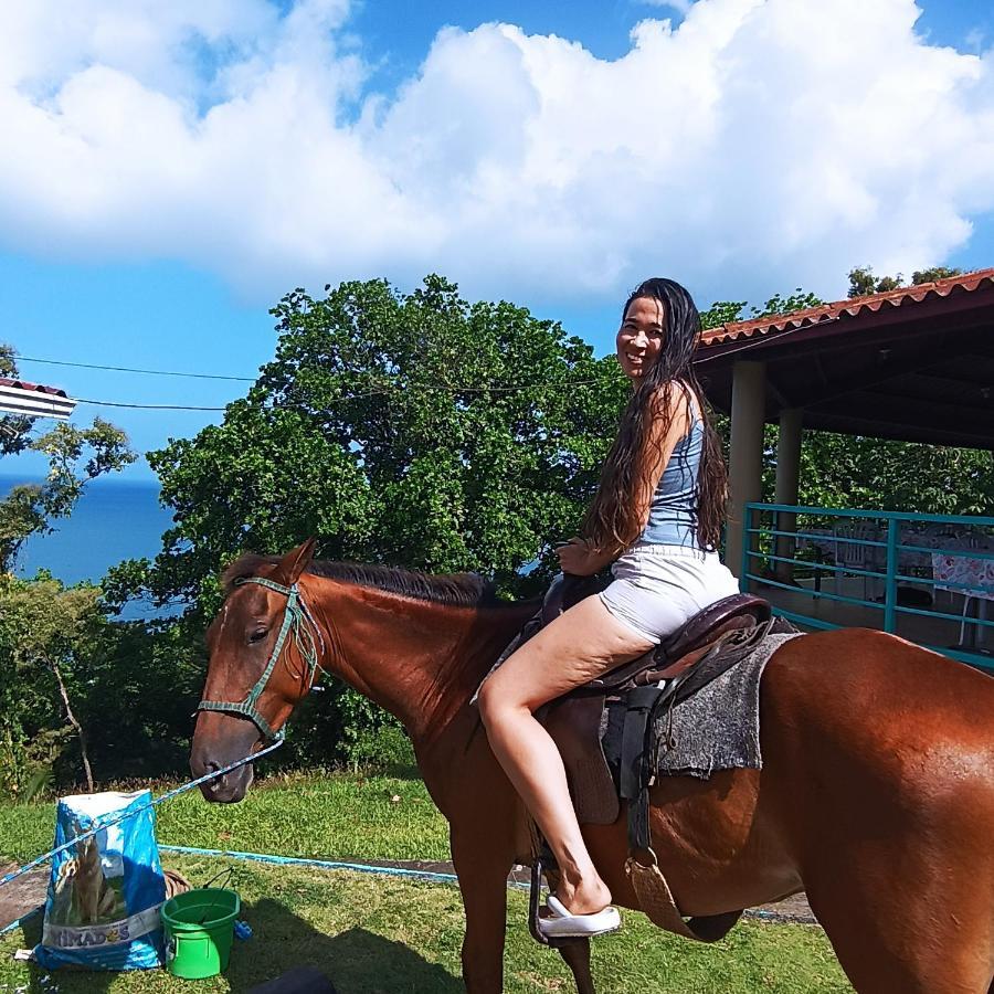 Rancho Juancho Hotel Portobelo Bagian luar foto